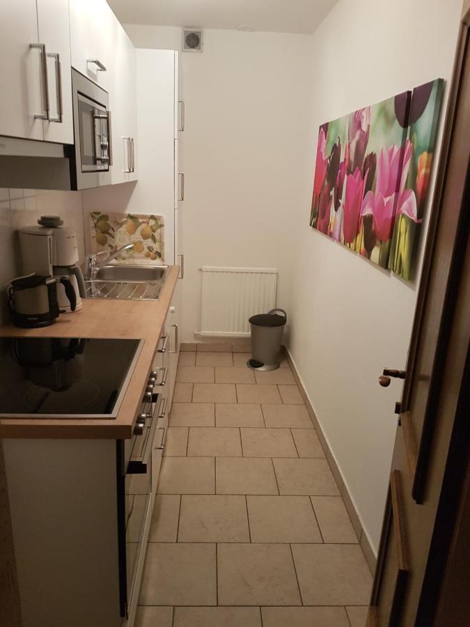Apartments Spiegl Holzmann Бишофсхофен Екстериор снимка